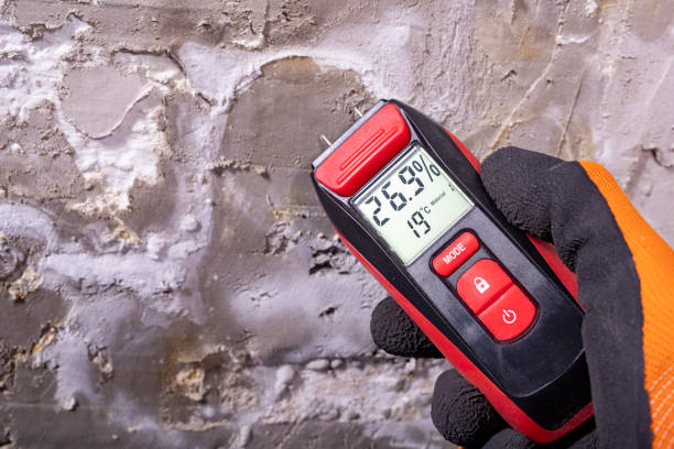 Water Damage Restoration in New Milford, IL